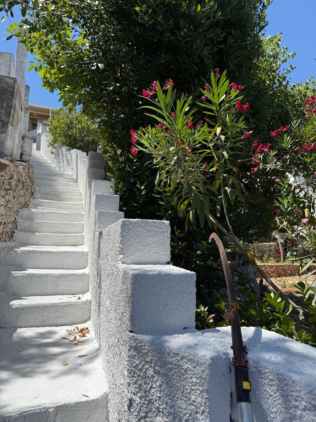 The Paradise - House Access